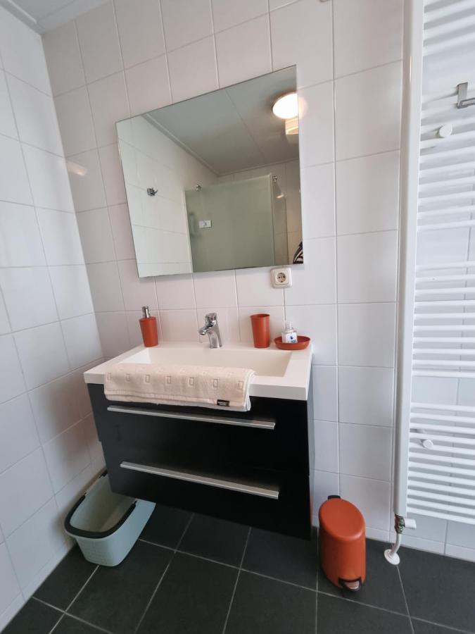Rietmeer Vakantiehuis Friesland Gaastmeer エクステリア 写真