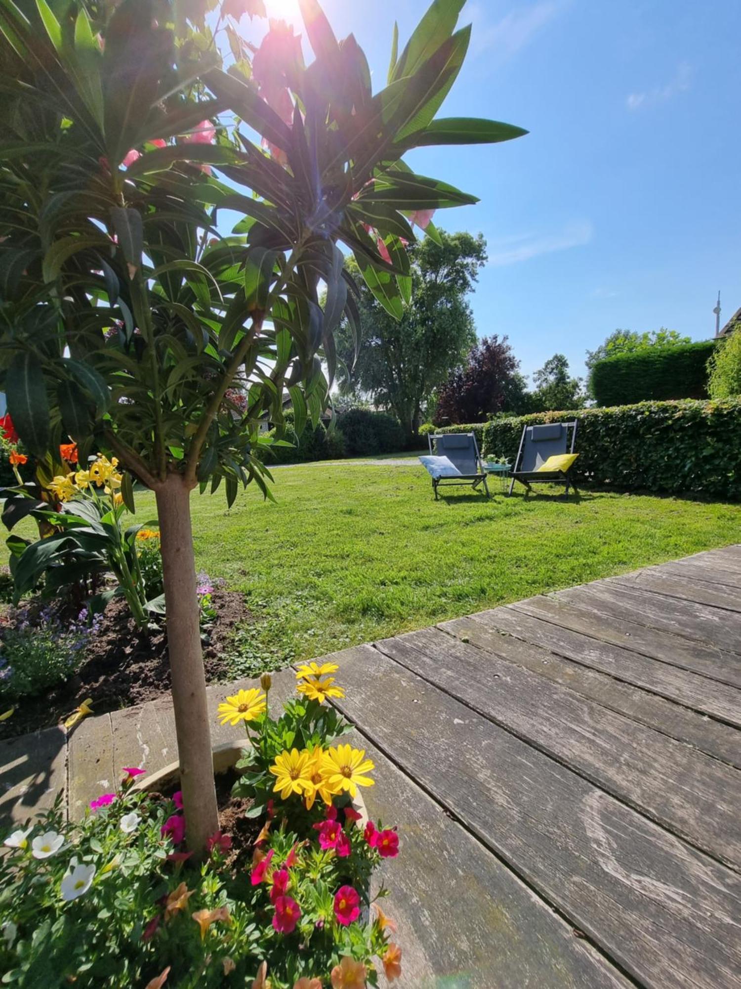Rietmeer Vakantiehuis Friesland Gaastmeer エクステリア 写真
